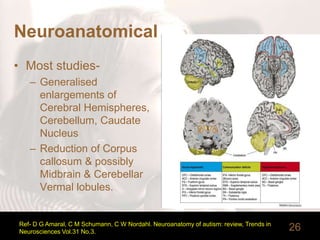 Neuroanatomical
• Most studies-
– Generalised
enlargements of
Cerebral Hemispheres,
Cerebellum, Caudate
Nucleus
– Reduction of Corpus
callosum & possibly
Midbrain & Cerebellar
Vermal lobules.
Ref- D G Amaral, C M Schumann, C W Nordahl. Neuroanatomy of autism: review, Trends in
Neurosciences Vol.31 No.3. 26
 