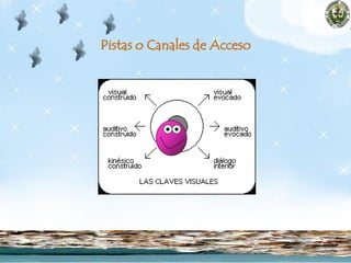 Pistas o Canales de Acceso
 