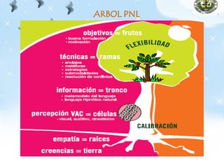 ARBOL PNL
 