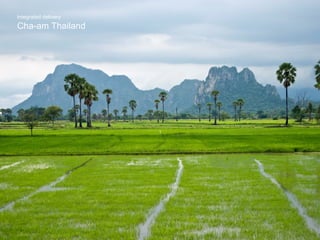 Cha-am Thailand integrated delivery 