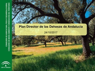 Plan Director de las Dehesas de Andalucía
24/10/2017
 