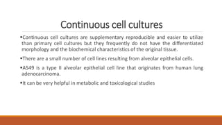Continuous cell cultures
Continuous cell cultures are supplementary reproducible and easier to utilize
than primary cell cultures but they frequently do not have the differentiated
morphology and the biochemical characteristics of the original tissue.
There are a small number of cell lines resulting from alveolar epithelial cells.
A549 is a type II alveolar epithelial cell line that originates from human lung
adenocarcinoma.
It can be very helpful in metabolic and toxicological studies
 