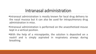 Intranasal administration
Intranasal administration is mostly known for local drug delivery to
the nasal mucosa but it can also be used for intrapulmonary drug
administration in mice.
Intranasal administration is performed on the anaesthetized mouse
kept in a vertical position.
With the help of a micropipette, the solution is deposited on a
nostril and is simply aspirated in respiratory airways during
breathing.
 