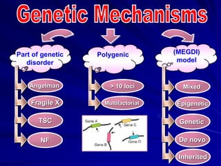 Part of genetic
disorder
Polygenic (MEGDI)
model
Angelman
Fragile X
TSC
NF
> 10 loci
Multifactorial
Mixed
Epigenetic
Genetic
De novo
Inherited
 