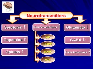 Neurotransmitters
Serotonin  Glutamate 
Dopamine  GABA 
Opioids  Catecholamines ?
VIP
CGRP
BDNF
Neuromodulators
NT4
 