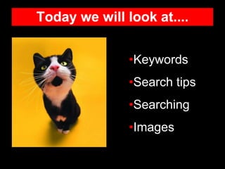 Today we will look at....
•Keywords
•Search tips
•Searching
•Images
 
