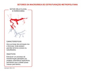 SETORES DA MACROÁREA DE ESTRUTURAÇÃO METROPOLITANA 
SETOR ORLA FLUVIAL 
E FERROVIÁRIA 
CARACTERÍSTICAS 
Arco ao longo dos principais rios 
e ferrovias, onde existem 
grandes terrenos ociosos ou 
subutilizados. 
OBJETIVOS 
Estruturar um processo de 
transformação planejado por 
projetos urbanísticos específicos, 
permitindo que a cidade possa 
crescer para dentro. 
Elaboração: SMDU, 2014 
 
