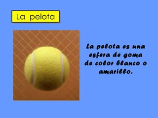 La  pelota La pelota es una esfera de goma de color blanco o amarillo. 