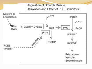 PDE Phosphodiesterase inhibitors.pdf