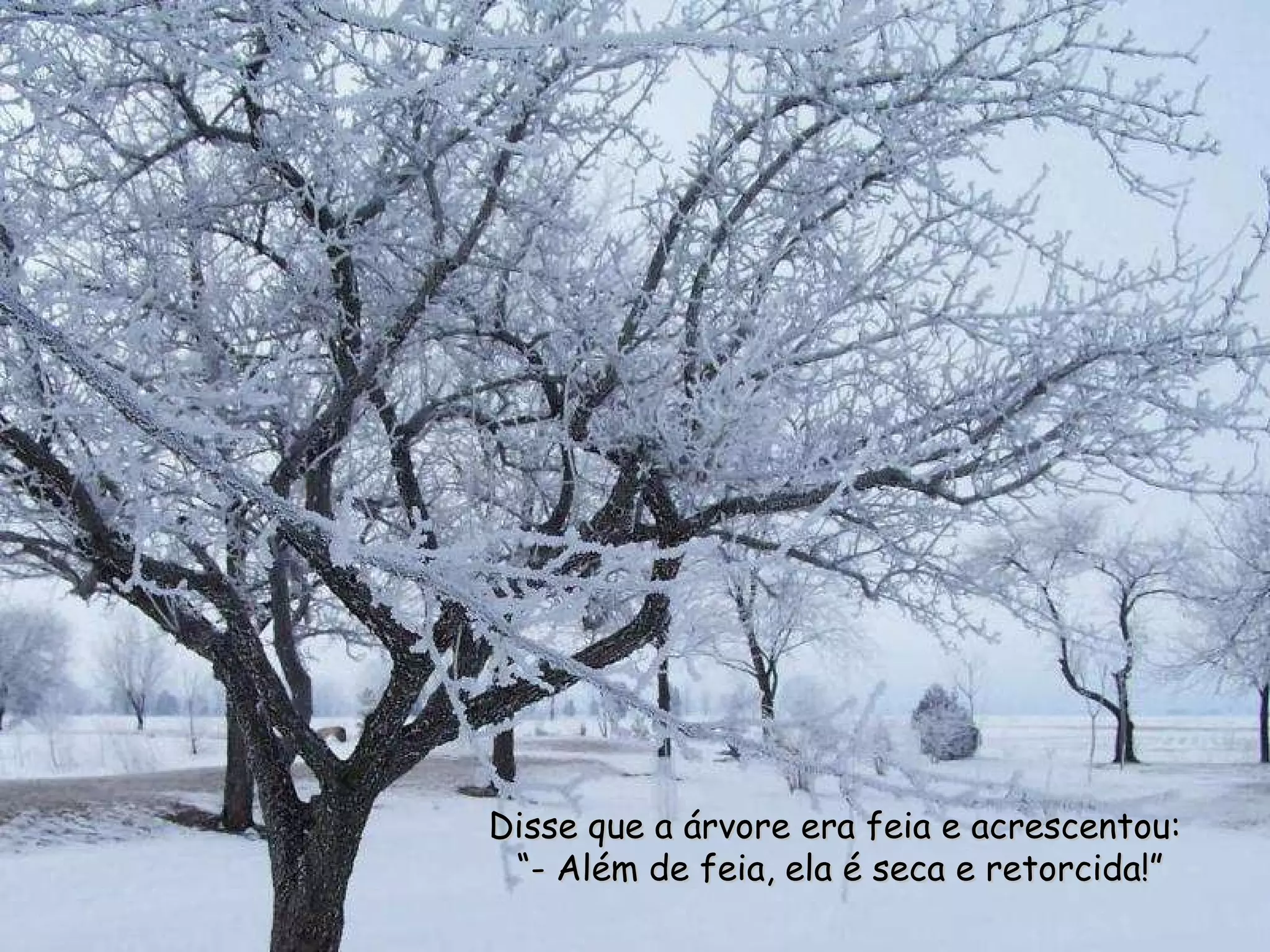 Disse que a árvore era feia e acrescentou:  “ - Além de feia, ela é seca e retorcida!” 