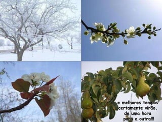 e melhores tempos  certamente virão,  de uma hora  para a outra!!! 