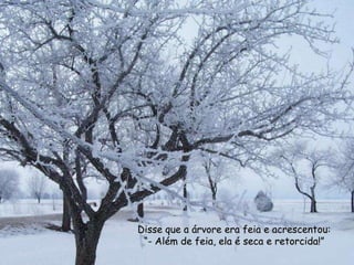Disse que a árvore era feia e acrescentou:
 “- Além de feia, ela é seca e retorcida!”
 