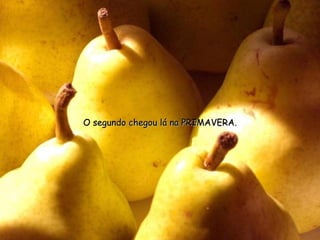 O segundo chegou lá na PRIMAVERA.O segundo chegou lá na PRIMAVERA.
 