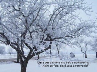 Disse que a árvore era feia e acrescentou:Disse que a árvore era feia e acrescentou:
““- Além de feia, ela é seca e retorcida!”- Além de feia, ela é seca e retorcida!”
 