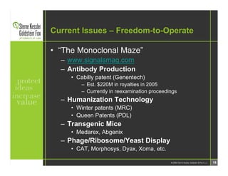SKGF_Presentation_Patenting Antibodies_2006