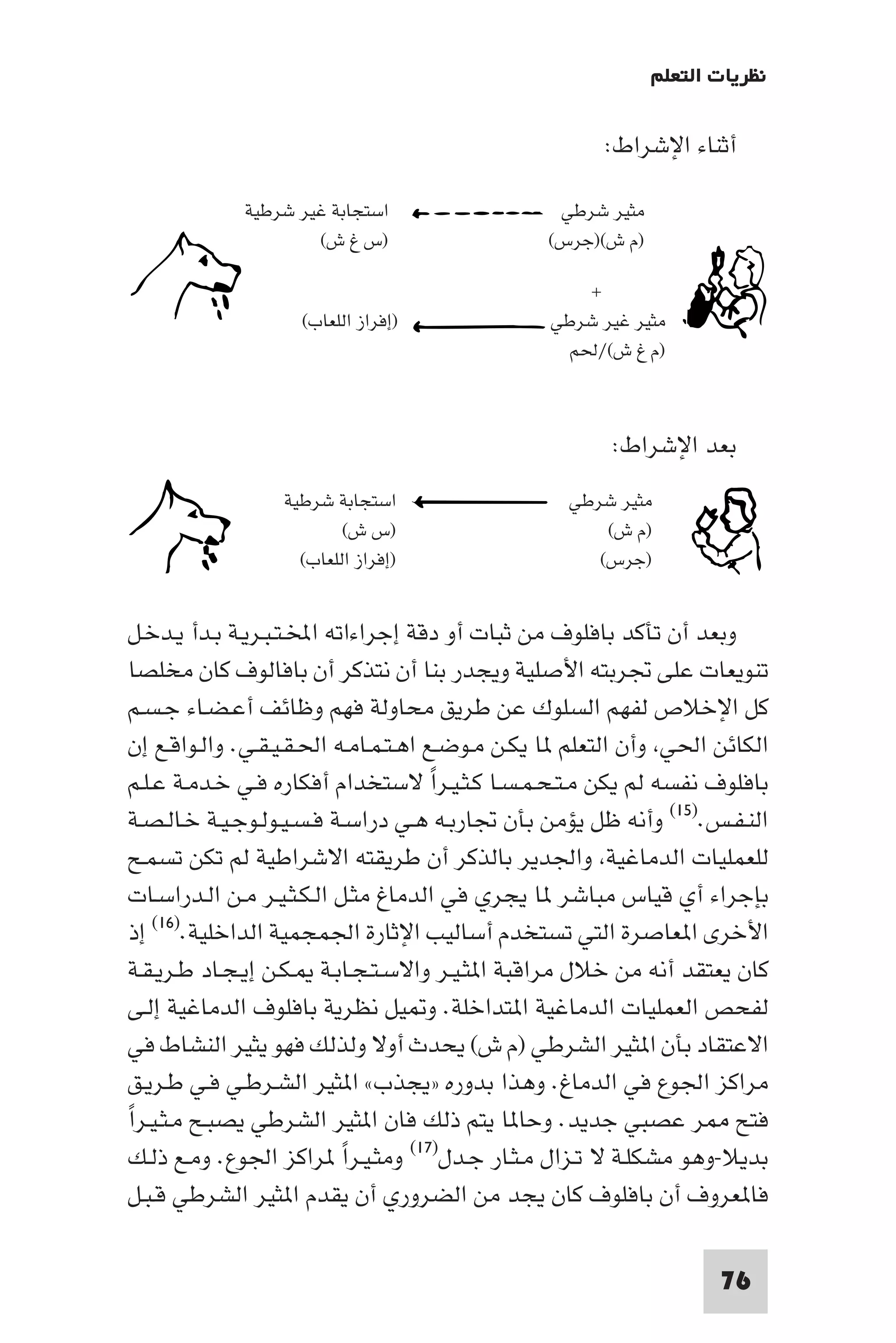 ‫ﻧﻈﺮﻳﺎت اﻟﺘﻌﻠﻢ‬

                                                      ‫أﺛﻨﺎء اﻹﺷﺮاط:‬

             ‫اﺳﺘﺠﺎﺑﺔ ﻏﻴﺮ ﺷﺮﻃﻴﺔ‬                  ‫ﻣﺜﻴﺮ ﺷﺮﻃﻲ‬
                     ‫)س غ ش(‬                   ‫)م ش()ﺟﺮس(‬

                                                    ‫+‬
                   ‫)إﻓﺮاز اﻟﻠﻌﺎب(‬               ‫ﻣﺜﻴﺮ ﻏﻴﺮ ﺷﺮﻃﻲ‬
                                                  ‫)م غ ش(/ﳊﻢ‬



                                                       ‫ﺑﻌﺪ اﻹﺷﺮاط:‬
                 ‫اﺳﺘﺠﺎﺑﺔ ﺷﺮﻃﻴﺔ‬                    ‫ﻣﺜﻴﺮ ﺷﺮﻃﻲ‬
                         ‫)س ش(‬                        ‫)م ش(‬
                   ‫)إﻓﺮاز اﻟﻠﻌﺎب(‬                    ‫)ﺟﺮس(‬


 ‫وﺑﻌﺪ أن ﺗﺄﻛﺪ ﺑﺎﻓﻠﻮف ﻣﻦ ﺛﺒﺎت أو دﻗﺔ إﺟﺮاءاﺗﻪ اﺨﻤﻟـﺘـﺒـﺮﻳـﺔ ﺑـﺪأ ﻳـﺪﺧـﻞ‬
 ‫ﺗﻨﻮﻳﻌﺎت ﻋﻠﻰ ﲡﺮﺑﺘﻪ اﻷﺻﻠﻴﺔ وﻳﺠﺪر ﺑﻨﺎ أن ﻧﺘﺬﻛﺮ أن ﺑﺎﻓﺎﻟﻮف ﻛﺎن ﻣﺨﻠﺼﺎ‬
 ‫ﻛﻞ اﻹﺧﻼص ﻟﻔﻬﻢ اﻟﺴﻠﻮك ﻋﻦ ﻃﺮﻳﻖ ﻣﺤﺎوﻟﺔ ﻓﻬﻢ وﻇﺎﺋﻒ أﻋـﻀـﺎء ﺟـﺴـﻢ‬
 ‫اﻟﻜﺎﺋﻦ اﳊﻲ وأن اﻟﺘﻌﻠﻢ ﺎ ﻳﻜـﻦ ﻣـﻮﺿـﻊ اﻫـﺘـﻤـﺎﻣـﻪ اﳊـﻘـﻴـﻘـﻲ. واﻟـﻮاﻗـﻊ إن‬
 ‫ﺑﺎﻓﻠﻮف ﻧﻔﺴﻪ ﻟﻢ ﻳﻜﻦ ﻣـﺘـﺤـﻤـﺴـﺎ ﻛـﺜـﻴـﺮا ﻻﺳﺘﺨﺪام أﻓﻜﺎره ﻓـﻲ ﺧـﺪﻣـﺔ ﻋـﻠـﻢ‬
                                       ‫ً‬
‫اﻟﻨـﻔـﺲ.)٥١( وأﻧﻪ ﻇﻞ ﻳﺆﻣﻦ ﺑﺄن ﲡﺎرﺑـﻪ ﻫـﻲ دراﺳـﺔ ﻓـﺴـﻴـﻮﻟـﻮﺟـﻴـﺔ ﺧـﺎﻟـﺼـﺔ‬
‫ﻟﻠﻌﻤﻠﻴﺎت اﻟﺪﻣﺎﻏﻴﺔ واﳉﺪﻳﺮ ﺑﺎﻟﺬﻛﺮ أن ﻃﺮﻳﻘﺘﻪ اﻻﺷﺮاﻃﻴﺔ ﻟﻢ ﺗﻜﻦ ﺗﺴﻤـﺢ‬
‫ﺑﺈﺟﺮاء أي ﻗﻴﺎس ﻣﺒﺎﺷﺮ ﺎ ﻳﺠﺮي ﻓﻲ اﻟﺪﻣﺎغ ﻣﺜـﻞ اﻟـﻜـﺜـﻴـﺮ ﻣـﻦ اﻟـﺪراﺳـﺎت‬
‫اﻷﺧﺮى ا ﻌﺎﺻﺮة اﻟﺘﻲ ﺗﺴﺘﺨﺪم أﺳﺎﻟﻴﺐ اﻹﺛﺎرة اﳉﻤﺠﻤﻴﺔ اﻟﺪاﺧﻠﻴﺔ.)٦١( إذ‬
‫ﻛﺎن ﻳﻌﺘﻘﺪ أﻧﻪ ﻣﻦ ﺧﻼل ﻣﺮاﻗﺒﺔ ا ﺜـﻴـﺮ واﻻﺳـﺘـﺠـﺎﺑـﺔ ـﻜـﻦ إﻳـﺠـﺎد ﻃـﺮﻳـﻘـﺔ‬
‫ﻟﻔﺤﺺ اﻟﻌﻤﻠﻴﺎت اﻟﺪﻣﺎﻏﻴﺔ ا ﺘﺪاﺧﻠﺔ. و ﻴﻞ ﻧﻈﺮﻳﺔ ﺑﺎﻓﻠﻮف اﻟﺪﻣﺎﻏﻴﺔ إﻟـﻰ‬
‫اﻻﻋﺘﻘﺎد ﺑﺄن ا ﺜﻴﺮ اﻟﺸﺮﻃﻲ )م ش( ﻳﺤﺪث أوﻻ وﻟﺬﻟﻚ ﻓﻬﻮ ﻳﺜﻴﺮ اﻟﻨﺸﺎط ﻓﻲ‬
‫ﻣﺮاﻛﺰ اﳉﻮع ﻓﻲ اﻟﺪﻣﺎغ. وﻫﺬا ﺑﺪوره »ﻳﺠﺬب« ا ﺜﻴﺮ اﻟﺸـﺮﻃـﻲ ﻓـﻲ ﻃـﺮﻳـﻖ‬
‫ﻓﺘﺢ ﺮ ﻋﺼﺒﻲ ﺟﺪﻳﺪ. وﺣﺎ ﺎ ﻳﺘﻢ ذﻟﻚ ﻓﺎن ا ﺜﻴﺮ اﻟﺸﺮﻃﻲ ﻳﺼﺒـﺢ ﻣـﺜـﻴـﺮاً‬
 ‫ﺑﺪﻳﻼ-وﻫﻮ ﻣﺸﻜﻠـﺔ ﻻ ﺗـﺰال ﻣـﺜـﺎر ﺟـﺪل)٧١( وﻣﺜـﻴـﺮا ﺮاﻛﺰ اﳉﻮع. وﻣـﻊ ذﻟـﻚ‬
                             ‫ً‬
 ‫ﻓﺎ ﻌﺮوف أن ﺑﺎﻓﻠﻮف ﻛﺎن ﻳﺠﺪ ﻣﻦ اﻟﻀﺮوري أن ﻳﻘﺪم ا ﺜﻴﺮ اﻟﺸﺮﻃﻲ ﻗـﺒـﻞ‬

                                                                   ‫67‬
 