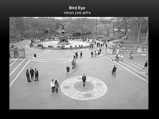 ‫‪Bird Eye‬‬
‫צילום מעין הציפור‬
 