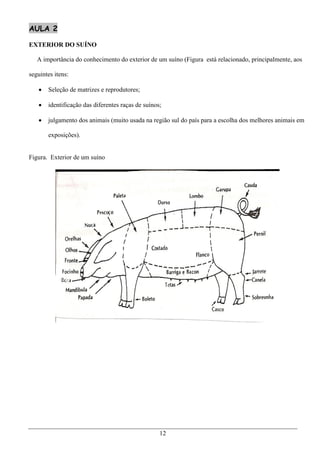 AULA 2

EXTERIOR DO SUÍNO

   A importância do conhecimento do exterior de um suíno (Figura está relacionado, principalmente, aos

seguintes itens:

      Seleção de matrizes e reprodutores;

      identificação das diferentes raças de suínos;

      julgamento dos animais (muito usada na região sul do país para a escolha dos melhores animais em

       exposições).


Figura. Exterior de um suíno




                                                   12
 