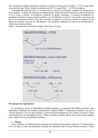 Para a produção de fêmeas da próxima geração, acasalam-se fêmeas 62,5% Landrace + 37,5% Large White
com machos Large White. obtendo-se animais com 68,75% Large White + 31,25% de Landrace.
    O procedimento utilizado com 3, 4 ou mais raças é o mesmo. As principais vantagens do sistema são as
de se produzir as fêmeas de reposição na própria granja. barateando sensivelmente seu custo de produção,
e de se evitar a entrada de problemas sanitários na granja,, utilizando –se animais já adaptados às
condições existentes. O único material genético a ser introduzido na granja é o do macho, o que pode ser
feito via inseminação artificial. Essa auto reposição do plantel só é possível quando se dispõem de um
plantel de matrizes com mais de 100 fêmeas, e de excelentes condições de controle de acasalamentos e
destino dos animais mestiços.
Figura – Esquema dos cruzamentos simples , three cross e 4 raças.




►Aquisição dos reprodutores

   Os reprodutores devem ser adquiridos de rebanhos ligados a um programa de melhoria genética e que
apresentem Certificado de Granja de Reprodutores Suídeos (GRSC). É importante certificar-se de que o
material genético é livre do gene halotano, responsável pela predisposição dos animais ao estresse e pelo
comprometimento da qualidade da carne. Todos os machos e fêmeas devem ser de uma mesma origem,
com o objetivo de evitar problemas sanitários.

    Fêmeas
   Como referência, as fêmeas devem apresentar um potencial para produzir acima de 11 (onze) leitões
vivos por parto e serem, de preferência, oriundas do cruzamento entre as raças brancas Landrace e Large

                                                 25
 