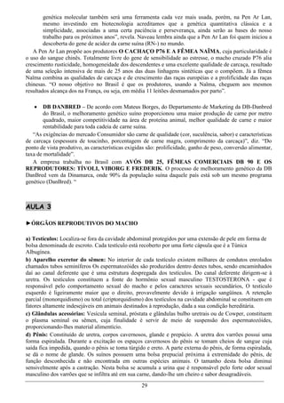 genética molecular também será uma ferramenta cada vez mais usada, porém, na Pen Ar Lan,
        mesmo investindo em biotecnologia acreditamos que a genética quantitativa clássica e a
        simplicidade, associadas a uma certa paciência e perseverança, ainda serão as bases do nosso
        trabalho para os próximos anos”, revela. Naveau lembra ainda que a Pen Ar Lan foi quem iniciou a
        descoberta do gene de acidez da carne suína (RN-) no mundo.
   A Pen Ar Lan propõe aos produtores O CACHAÇO P76 E A FÊMEA NAÏMA, cuja particularidade é
o uso do sangue chinês. Totalmente livre do gene de sensibilidade ao estresse, o macho cruzado P76 alia
crescimento rusticidade, homogeneidade dos descendentes e uma excelente qualidade de carcaça, resultado
de uma seleção intensiva de mais de 25 anos das duas linhagens sintéticas que o compõem. Já a fêmea
Naïma combina as qualidades de carcaça e de crescimento das raças européias e a prolificidade das raças
chinesas. “O nosso objetivo no Brasil é que os produtores, usando a Naïma, cheguem aos mesmos
resultados alcança dos na França, ou seja, em média 11 leitões desmamados por parto”.

       DB DANBRED – De acordo com Mateus Borges, do Departamento de Marketing da DB-Danbred
        do Brasil, o melhoramento genético suíno proporcionou uma maior produção de carne por metro
        quadrado, maior competitividade na área de proteína animal, melhor qualidade de carne e maior
        rentabilidade para toda cadeia de carne suína.
   “As exigências do mercado Consumidor são carne de qualidade (cor, suculência, sabor) e características
de carcaça (espessura de toucinho, porcentagem de carne magra, comprimento da carcaça)”, diz. “Do
ponto de vista produtivo, as características exigidas são: prolificidade, ganho de peso, conversão alimentar,
taxa de mortalidade”.
   A empresa trabalha no Brasil com AVÓS DB 25, FÊMEAS COMERCIAIS DB 90 E OS
REPRODUTORES: TÍVOLI, VIBORG E FREDERIK. O processo de melhoramento genético da DB
DanBred vem da Dinamarca, onde 90% da população suína daquele país está sob um mesmo programa
genético (DanBred). “



AULA 3

►ÓRGÃOS REPRODUTIVOS DO MACHO

a) Testículos: Localiza-se fora da cavidade abdominal protegidos por uma extensão de pele em forma de
bolsa denominada de escroto. Cada testículo está recoberto por uma forte cápsula que é a Túnica
Albugínea.
b) Aparelho excretor do sêmen: No interior de cada testículo existem milhares de condutos enrolados
chamados tubos seminíferos Os espermatozóides são produzidos dentro destes tubos, sendo encaminhados
daí ao canal deferente que é uma estrutura despregada dos testículos. Do canal deferente dirigem-se à
uretra. Os testículos constituem a fonte do hormônio sexual masculino TESTOSTERONA - que é
responsável pelo comportamento sexual do macho e pelos caracteres sexuais secundários, O testículo
esquerdo é ligeiramente maior que o direito, provavelmente devido à irrigação sangüínea. A retenção
parcial (monorquidismo) ou total (criptorquidismo) dos testículos na cavidade abdominal se constituem em
fatores altamente indesejáveis em animais destinados à reprodução, dada a sua condição hereditária.
c) Glândulas acessórias: Vesícula seminal, próstata e glândulas bulbo uretrais ou de Cowper, constituem
o plasma seminal ou sêmen, cuja finalidade é servir de meio de suspensão dos espermatozóides,
proporcionando-lhes material alimentício.
d) Pênis: Constituído de uretra, corpos cavernosos, glande e prepúcio. A uretra dos varrões possui uma
forma espiralada. Durante a excitação os espaços cavernosos do pênis se tomam cheios de sangue cuja
saída fica impedida, quando o pênis se toma túrgido e ereto. A parte externa do pênis, de forma espiralada,
se dá o nome de glande. Os suínos possuem uma bolsa prepucial próxima à extremidade do pênis, de
função desconhecida e não encontrada em outras espécies animais. O tamanho desta bolsa diminui
sensivelmente após a castração. Nesta bolsa se acumula a urina que é responsável pelo forte odor sexual
masculino dos varrões que se infiltra até em sua carne, dando-lhe um cheiro e sabor desagradáveis.
                                                   29
 