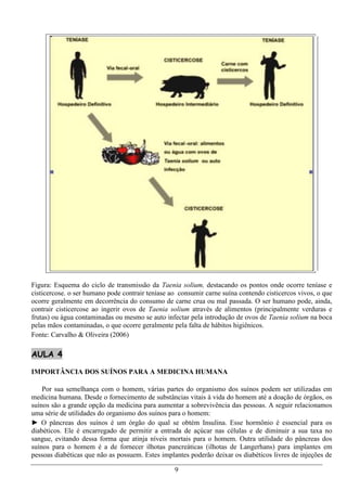 Figura: Esquema do ciclo de transmissão da Taenia solium, destacando os pontos onde ocorre teníase e
cisticercose. o ser humano pode contrair teníase ao consumir carne suína contendo cisticercos vivos, o que
ocorre geralmente em decorrência do consumo de carne crua ou mal passada. O ser humano pode, ainda,
contrair cisticercose ao ingerir ovos de Taenia solium através de alimentos (principalmente verduras e
frutas) ou água contaminadas ou mesmo se auto infectar pela introdução de ovos de Taenia solium na boca
pelas mãos contaminadas, o que ocorre geralmente pela falta de hábitos higiênicos.
Fonte: Carvalho & Oliveira (2006)

AULA 4

IMPORTÂNCIA DOS SUÍNOS PARA A MEDICINA HUMANA

    Por sua semelhança com o homem, várias partes do organismo dos suínos podem ser utilizadas em
medicina humana. Desde o fornecimento de substâncias vitais à vida do homem até a doação de órgãos, os
suínos são a grande opção da medicina para aumentar a sobrevivência das pessoas. A seguir relacionamos
uma série de utilidades do organismo dos suínos para o homem:
► O pâncreas dos suínos é um órgão do qual se obtém Insulina. Esse hormônio é essencial para os
diabéticos. Ele é encarregado de permitir a entrada de açúcar nas células e de diminuir a sua taxa no
sangue, evitando dessa forma que atinja níveis mortais para o homem. Outra utilidade do pâncreas dos
suínos para o homem é a de fornecer ilhotas pancreáticas (ilhotas de Langerhans) para implantes em
pessoas diabéticas que não as possuem. Estes implantes poderão deixar os diabéticos livres de injeções de

                                                  9
 