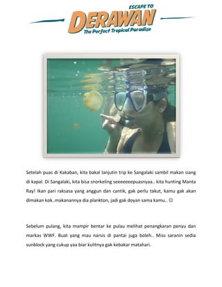 Setelah puas di Kakaban, kita bakal lanjutin trip ke Sangalaki sambil makan siang
di kapal. Di Sangalaki, kita bisa snorkeling seeeeeeepuasnyaa.. kita hunting Manta
Ray! Ikan pari raksasa yang anggun dan cantik, gak perlu takut, kamu gak akan
dimakan kok..makanannya dia plankton, jadi gak doyan sama kamu.. 




Sebelum pulang, kita mampir bentar ke pulau melihat penangkaran penyu dan
markas WWF. Buat yang mau narsis di pantai juga boleh.. Miss saranin sedia
sunblock yang cukup yaa biar kulitnya gak kebakar matahari.
 