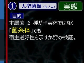 1   大型菌類（キノコ）   実態
目的
本属菌 2 種が子実体ではなく
「菌糸体」でも
宿主選好性を示すかどうか検証。
 