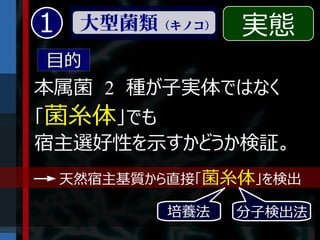 1    大型菌類（キノコ）    実態
目的
本属菌 2 種が子実体ではなく
「菌糸体」でも
宿主選好性を示すかどうか検証。
    天然宿主基質から直接「菌糸体」を検出

            培養法   分子検出法
 