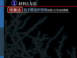 1 材料と方法
培養法 担子菌選択培地を用いた手法を開発
 