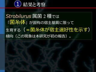 1 結果と考察

Strobilurus 属菌 2 種では
「菌糸体」が固有の宿主基質に限って
生育する（＝菌糸体が宿主選好性を示す）
傾向（この現象は本研究が初の報告）。
 
