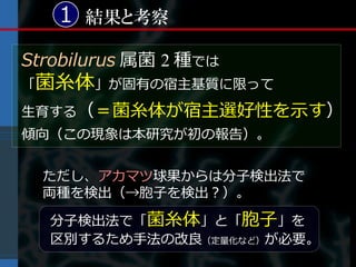 1 結果と考察

Strobilurus 属菌 2 種では
「菌糸体」が固有の宿主基質に限って
生育する（＝菌糸体が宿主選好性を示す）
傾向（この現象は本研究が初の報告）。


  ただし、アカマツ球果からは分子検出法で
  両種を検出（→胞子を検出？）。

  分子検出法で「菌糸体」と「胞子」を
  区別するため手法の改良（定量化など）が必要。
 