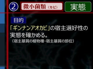 2   微小菌類（カビ）    実態
目的
「ギンナンアオカビ」の宿主選好性の
実態を確かめる。
（宿主基質の植物種・宿主基質の部位）
 