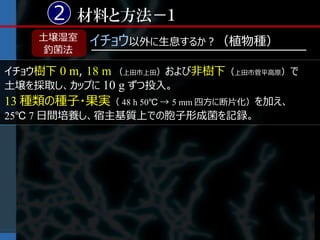 2 材料と方法－１
    土壌湿室   イチョウ以外に生息するか？（植物種）
     釣菌法

イチョウ樹下 0 m, 18 m （上田市上田）および非樹下（上田市菅平高原）で
土壌を採取し、カップに 10 g ずつ投入。
13 種類の種子・果実（ 48 h 50℃ → 5 mm 四方に断片化）を加え、
25℃ 7 日間培養し、宿主基質上での胞子形成菌を記録。
 