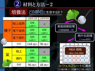 2 材料と方法－２
培養法 どの部位に生息するか？

             表面殺菌処理
             （次亜塩素酸 1 分）


                           断片化処理
                           （ 5 mm 四方）




                    MEA 培地
                  （一部は CMA 培地）




             24 ウェルプレートに置床
             （ 1 枚の葉 /1 つの種子につき 8 断片）
 