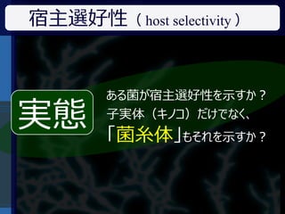 宿主選好性（ host selectivity ）


        ある菌が宿主選好性を示すか？

実態      子実体（キノコ）だけでなく、
        「菌糸体」もそれを示すか？
 