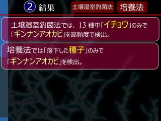 2 結果    土壌湿室釣菌法   培養法

土壌湿室釣菌法では、 13 種中「イチョウ」のみで
「ギンナンアオカビ」を高頻度で検出。

培養法では「落下した種子」のみで
「ギンナンアオカビ」を検出。
 