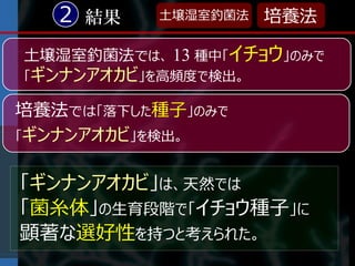2 結果    土壌湿室釣菌法   培養法

土壌湿室釣菌法では、 13 種中「イチョウ」のみで
「ギンナンアオカビ」を高頻度で検出。

培養法では「落下した種子」のみで
「ギンナンアオカビ」を検出。


「ギンナンアオカビ」は、天然では
「菌糸体」の生育段階で「イチョウ種子」に
顕著な選好性を持つと考えられた。
 