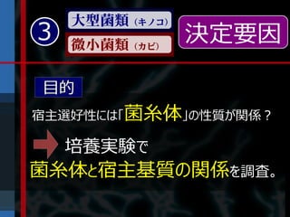 大型菌類（キノコ）
3   微小菌類（カビ）
                決定要因

目的
宿主選好性には「菌糸体」の性質が関係？

　　　培養実験で
菌糸体と宿主基質の関係を調査。
 