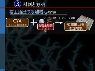 3 材料と方法
 宿主抽出液添加培地の作成

              +
                             （オートクレーブ処理）
   CYA
（ツァペック酵母寒天）       各宿主基質            宿主抽出液
                   (5 g/L)         添加培地
 