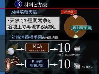 3 材料と方法
対峙培養実験              相手菌


・天然での種間競争を
培地上で再現する実験。              宿主選好性菌


対峙培養相手菌の分離培養

      MEA
    （麦芽エキス寒天）   10 種
                （うち 1 種は結果から除外）


      担子菌
     選択培地       10 種         （ 5 種ずつ）
 