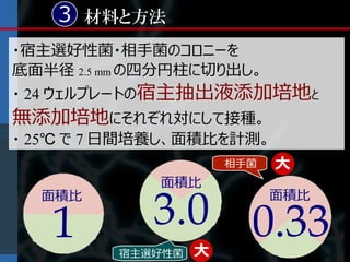 3 材料と方法
・宿主選好性菌・相手菌のコロニーを
底面半径 2.5 mm の四分円柱に切り出し。
・ 24 ウェルプレートの宿主抽出液添加培地と
無添加培地にそれぞれ対にして接種。
・ 25℃ で 7 日間培養し、面積比を計測。
                      相手菌   大
             面積比

            3.0 0.33
  面積比                       面積比

   1     宿主選好性菌   大
 