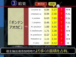 3 結果                                   無添加                添加




 「ギンナン
 アオカビ」



  n.s. は有意差なし , * は p < 0.5, ** は p < 0.1, *** は p < 0.01 であることを示す（ Welch's t-test, n=4 ）


宿主抽出液添加培地でより多くの面積を占有。
 
