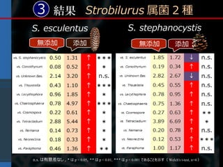 3 結果 Strobilurus 属菌 2 種
S. esculentus                                     S. stephanocystis
  無添加                添加                                 無添加                添加




n.s. は有意差なし , * は p < 0.05, ** は p < 0.01, *** は p < 0.001 であることを示す（ Welch's t-test, n=4 ）
 