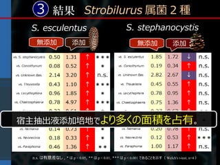 3 結果 Strobilurus 属菌 2 種
 S. esculentus                                     S. stephanocystis
   無添加                添加                                 無添加                添加




宿主抽出液添加培地でより多くの面積を占有。



 n.s. は有意差なし , * は p < 0.05, ** は p < 0.01, *** は p < 0.001 であることを示す（ Welch's t-test, n=4 ）
 