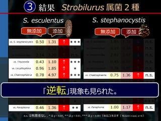 3 結果 Strobilurus 属菌 2 種
S. esculentus                                     S. stephanocystis
  無添加                添加                                 無添加                添加




              「逆転」現象も見られた。


n.s. は有意差なし , * は p < 0.05, ** は p < 0.01, *** は p < 0.001 であることを示す（ Welch's t-test, n=4 ）
 