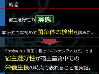 結論


 宿主選好性の    実態
本研究では初めて菌糸体の検出を試みた。



Strobilurus 属菌 2 種と「ギンナンアオカビ」では

宿主選好性が宿主基質中での
栄養生長の時点で表れることを実証。
 