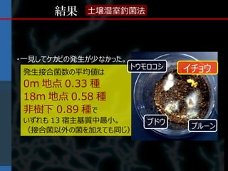 結果   土壌湿室釣菌法




・一見してケカビの発生が少なかった。
                     トウモロコシ   イチョウ
 発生接合菌数の平均値は
 0m 地点 0.33 種
 18m 地点 0.58 種
 非樹下 0.89 種で
 いずれも 13 宿主基質中最小。       ブドウ    プルーン
 （接合菌以外の菌を加えても同じ）
 