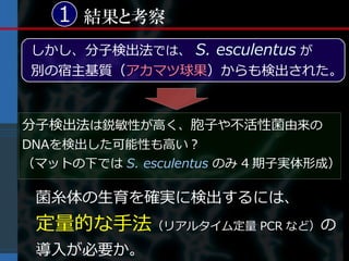1 結果と考察
しかし、分子検出法では、 S. esculentus が
別の宿主基質（アカマツ球果）からも検出された。



分子検出法は鋭敏性が高く、胞子や不活性菌由来の
DNAを検出した可能性も高い？
（マットの下では S. esculentus のみ 4 期子実体形成）

 菌糸体の生育を確実に検出するには、
 定量的な手法（リアルタイム定量 PCR など）の
 導入が必要か。
 