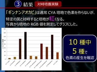3 結果   対峙培養実験

「ギンナンアオカビ」は通常 CYA 培地で色素を作らないが、
特定の菌と対峙すると培地が紅くなる。
写真から培地の RGB 値を測定してグラフにした。




                     10 種中
                      5 種で
                    色素の産生を確認
 