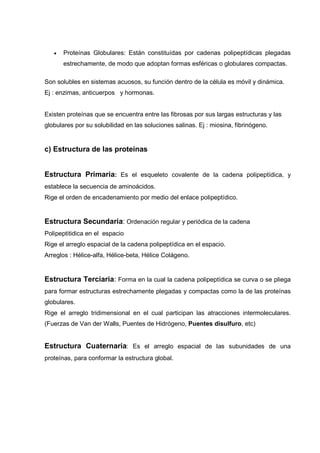 •   Proteínas Globulares: Están constituídas por cadenas polipeptídicas plegadas
       estrechamente, de modo que adoptan formas esféricas o globulares compactas.

Son solubles en sistemas acuosos, su función dentro de la célula es móvil y dinámica.
Ej : enzimas, anticuerpos y hormonas.


Existen proteínas que se encuentra entre las fibrosas por sus largas estructuras y las
globulares por su solubilidad en las soluciones salinas. Ej : miosina, fibrinógeno.


c) Estructura de las proteínas


Estructura Primaria: Es el esqueleto covalente de la cadena polipeptídica, y
establece la secuencia de aminoácidos.
Rige el orden de encadenamiento por medio del enlace polipeptídico.


Estructura Secundaria: Ordenación regular y periódica de la cadena
Polipeptitidica en el espacio
Rige el arreglo espacial de la cadena polipeptídica en el espacio.
Arreglos : Hélice-alfa, Hélice-beta, Hélice Colágeno.


Estructura Terciaria: Forma en la cual la cadena polipeptídica se curva o se pliega
para formar estructuras estrechamente plegadas y compactas como la de las proteínas
globulares.
Rige el arreglo tridimensional en el cual participan las atracciones intermoleculares.
(Fuerzas de Van der Walls, Puentes de Hidrógeno, Puentes disulfuro, etc)


Estructura Cuaternaria: Es el arreglo espacial de las subunidades de una
proteínas, para conformar la estructura global.
 